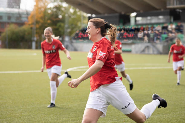 系列严格的 系列严格的