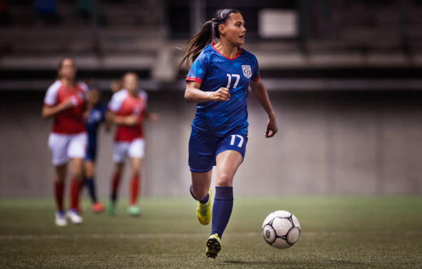 了解这片土 了解这片土